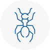 Ant Removals In Baldock
