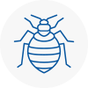Bed Bug Extermination In Baldock