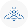 Bee Nest Removal Baldock