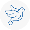 Bird Prevention Baldock
