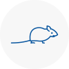 Mice Exterminators In Baldock