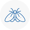 Moth Control Specialists In Baldock