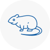 Rat Control Baldock