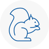 Baldock Rodent Removals