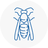 Baldock Wasp Nest Removal